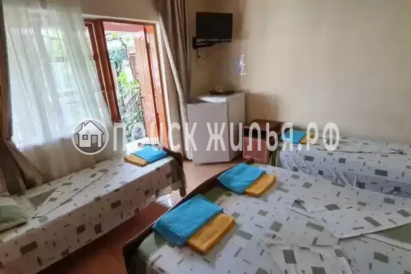 «Ани» «Ани»