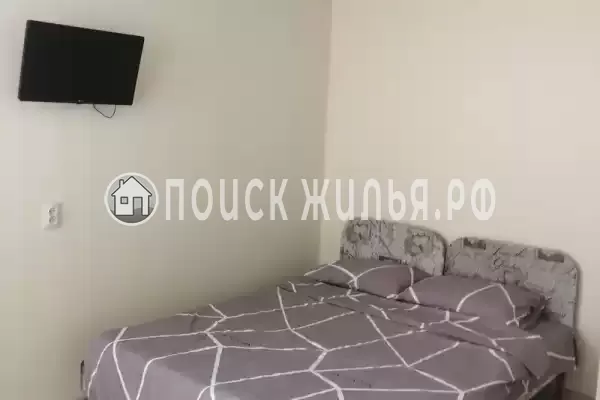 «Пальмира» «Пальмира»