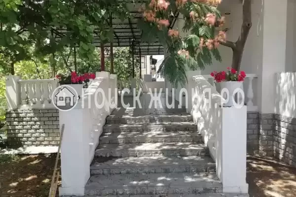 «Белый дом»