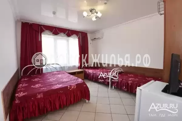 «Береговой»