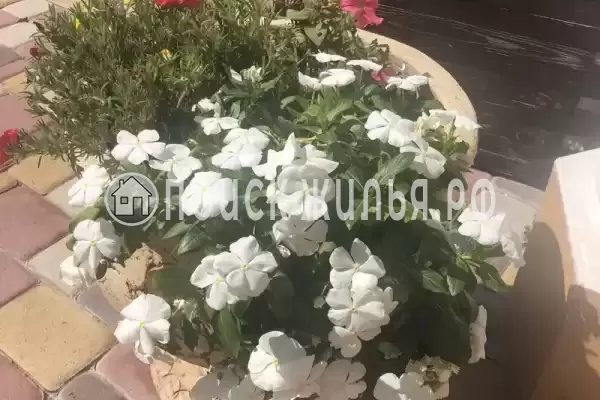 Частный сектор «Алекс Хаус» Частный сектор «Алекс Хаус»