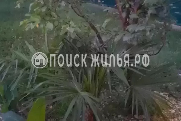 Частный сектор «Коттеджи У Люси»