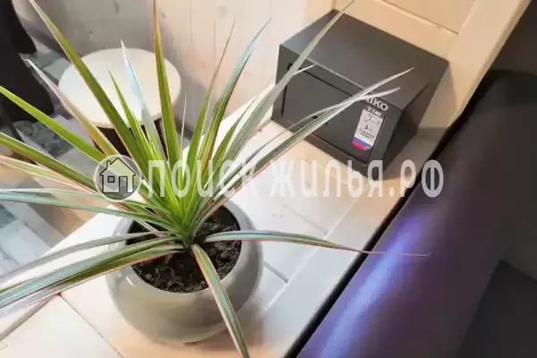 Частный сектор «Белый Кот»