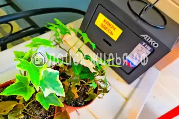 Частный сектор «Белый Кот»