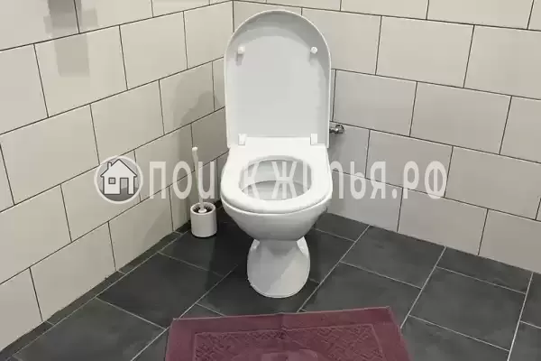 «Елки-палки»