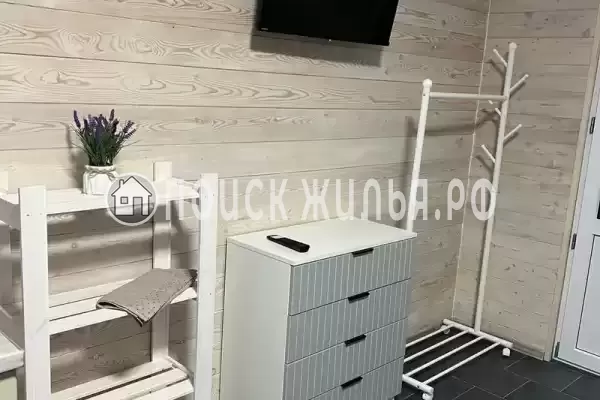 «Елки-палки»