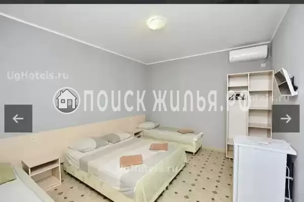 «Белая лебедь» «Белая лебедь»