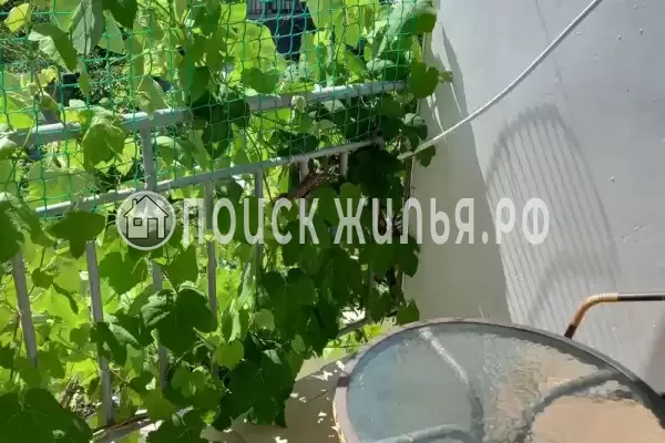 «На Черноморской 4»