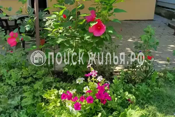 Гостевой дом «Море, песок и дюны»