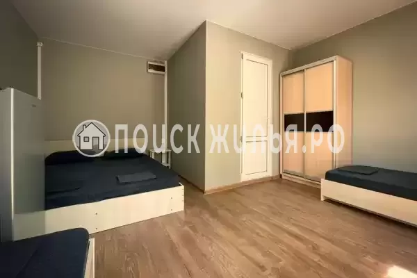 «Новая грация» «Новая грация»