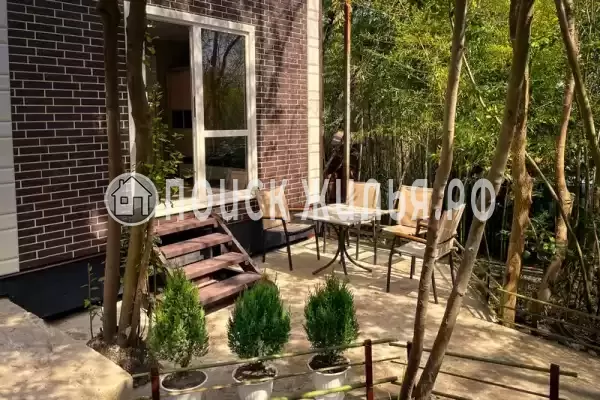 «Новая грация» «Новая грация»