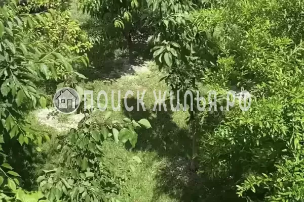 Отель «Вероника» Отель «Вероника»