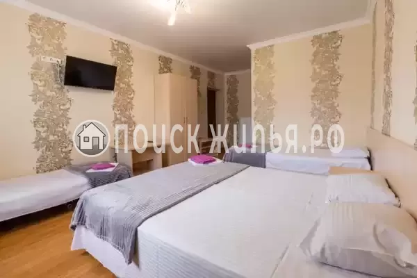 «Надежда» «Надежда»