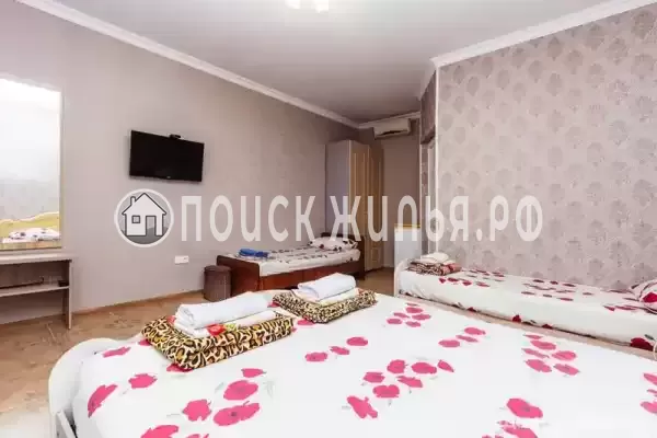 «Светлана» «Светлана»