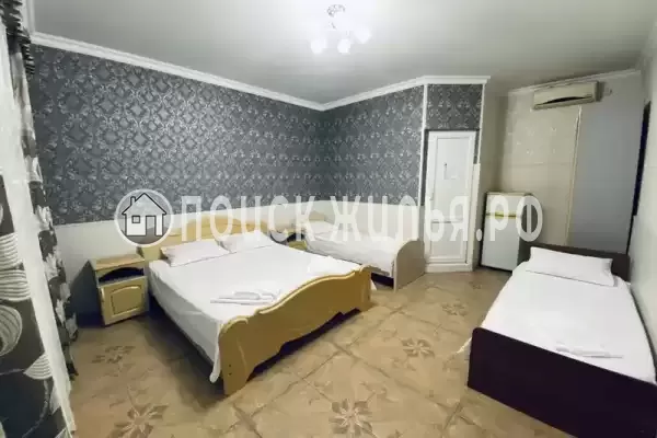 «Светлана» «Светлана»