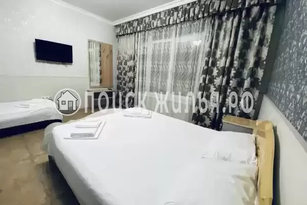 «Светлана» «Светлана»