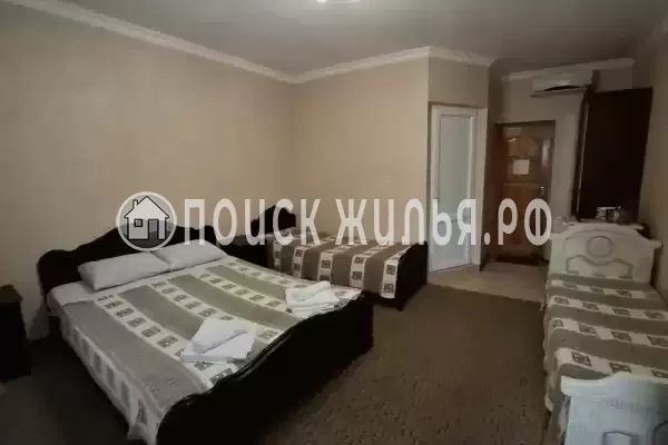 «Светлана» «Светлана»