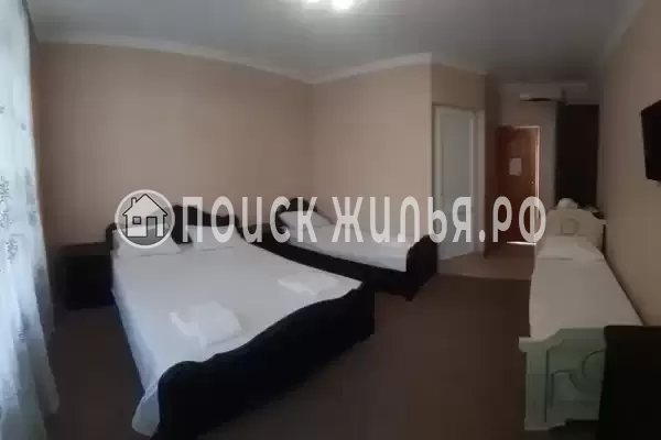 «Светлана» «Светлана»