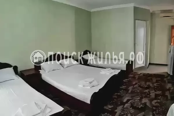 «Светлана» «Светлана»