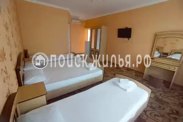 «Светлана» «Светлана»