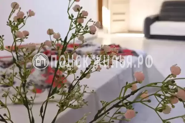 «Уютный» «Уютный»