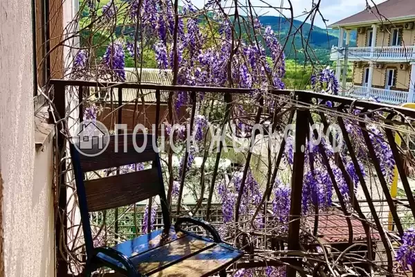 «Золотая рыбка»