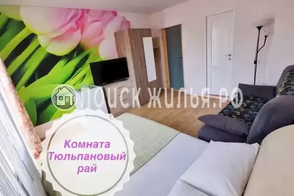 «Золотая рыбка»