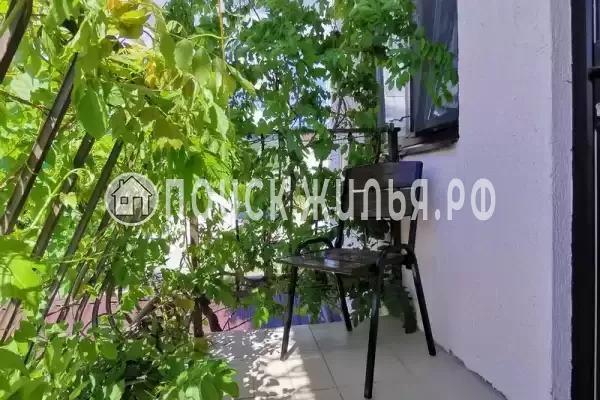 «Золотая рыбка»