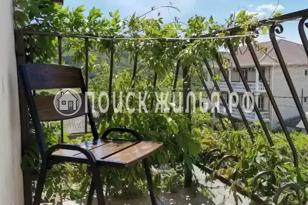 «Золотая рыбка»