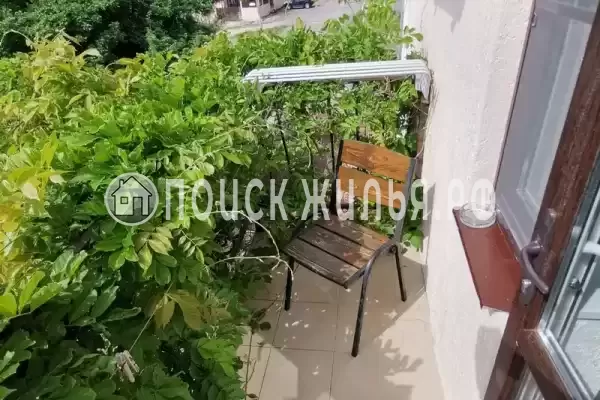 «Золотая рыбка»