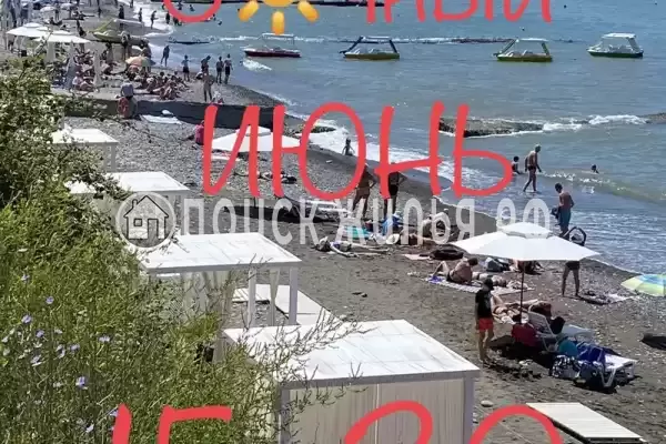 «Ассоль» «Ассоль»