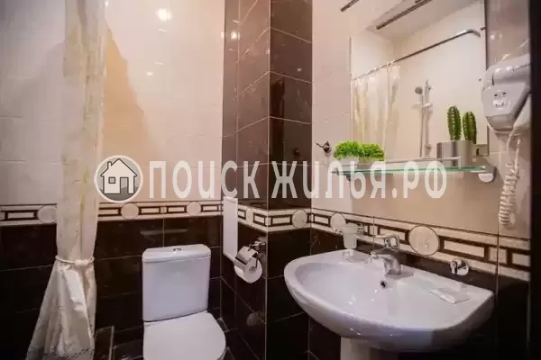 «Золотая подкова»