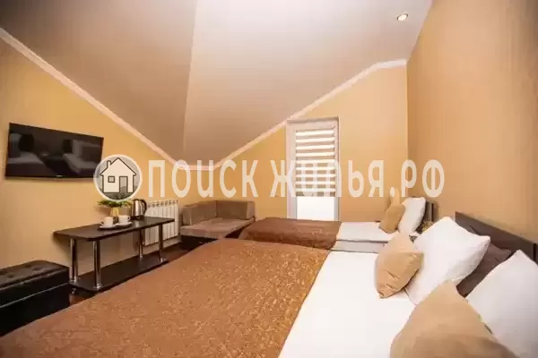 «Золотая подкова»