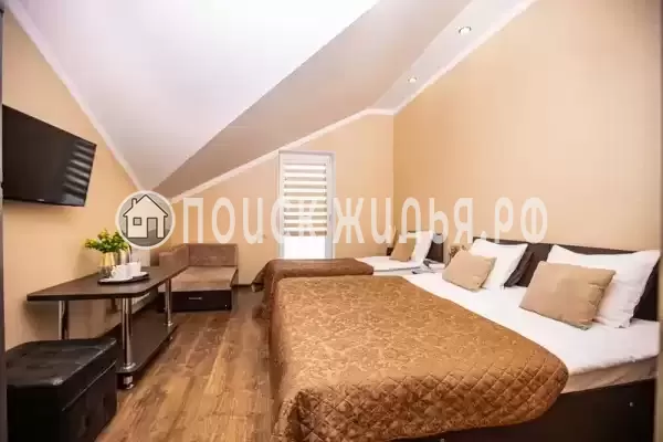 «Золотая подкова»
