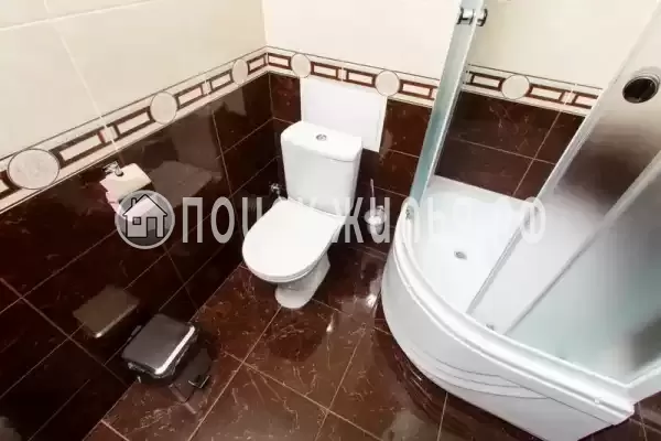 «Золотая подкова»