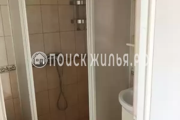 «Под соснами»