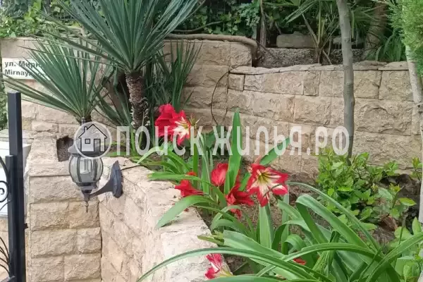 «Мирная 12» «Мирная 12»