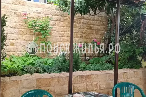 «Мирная 12» «Мирная 12»