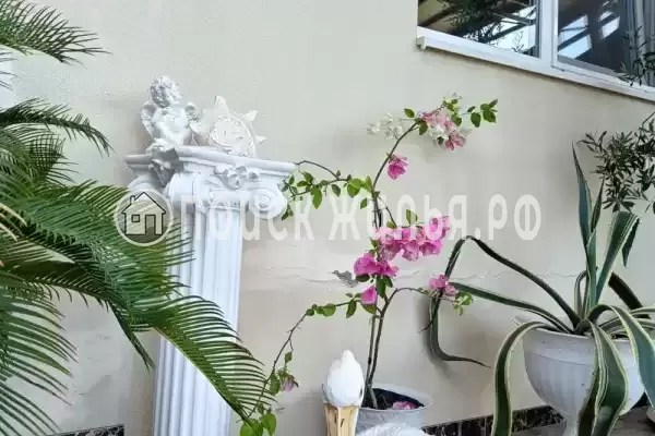 «Мирная 12» «Мирная 12»