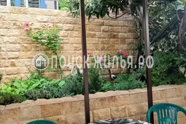 «Мирная 12» «Мирная 12»