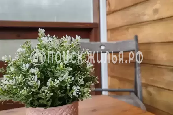 «Дача от евы»