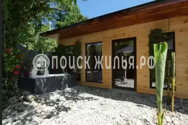 «Сатори» «Сатори»