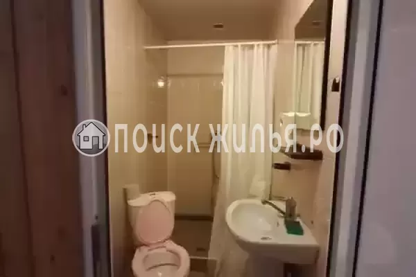 Гостевой дом «У тюльпанового дерева» Гостевой дом «У тюльпанового дерева»