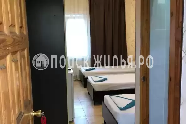 «Амели» «Амели»