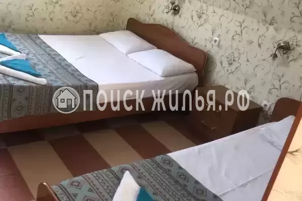 «Амели» «Амели»