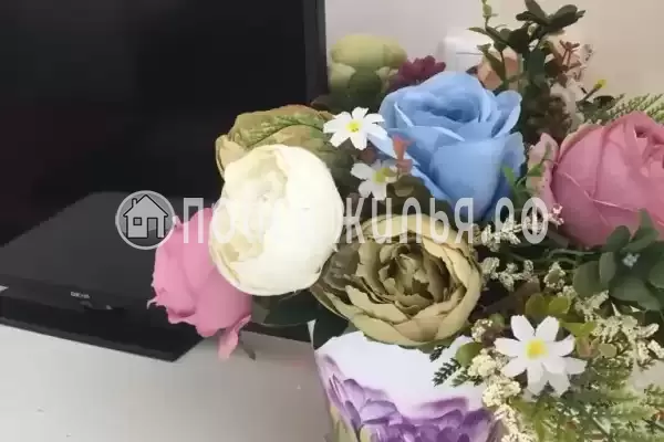 «Анюта» «Анюта»