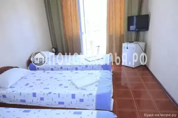 «Спартак» «Спартак»