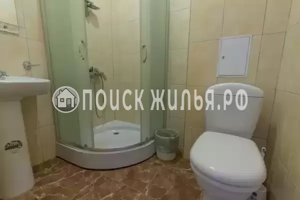 «Спартак» «Спартак»