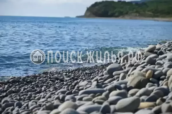 «Лес» «Лес»