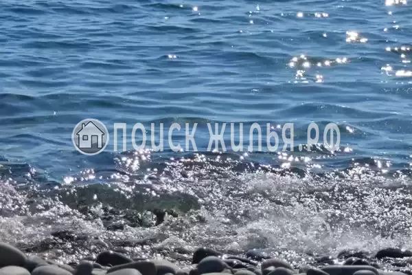 «Лес» «Лес»